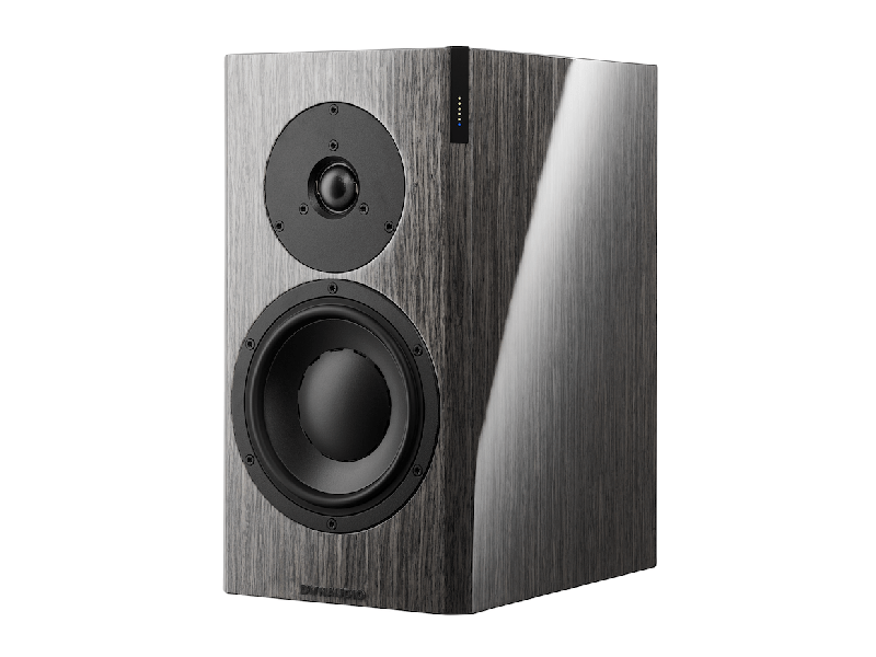 Dynaudio Focus 20 XD - Grey Oak Hochglanz