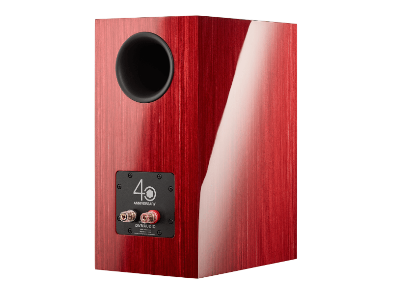 Dynaudio Special Forty - Red Birch (Rückseite)
