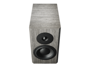 Dynaudio Special Forty - Grey Birch
