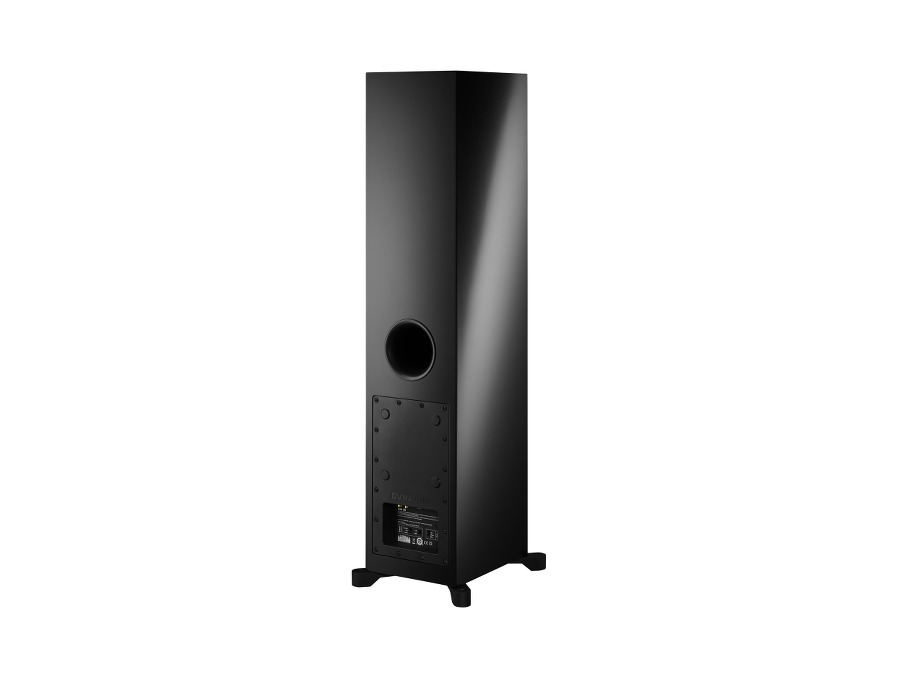 Dynaudio Xeo 30