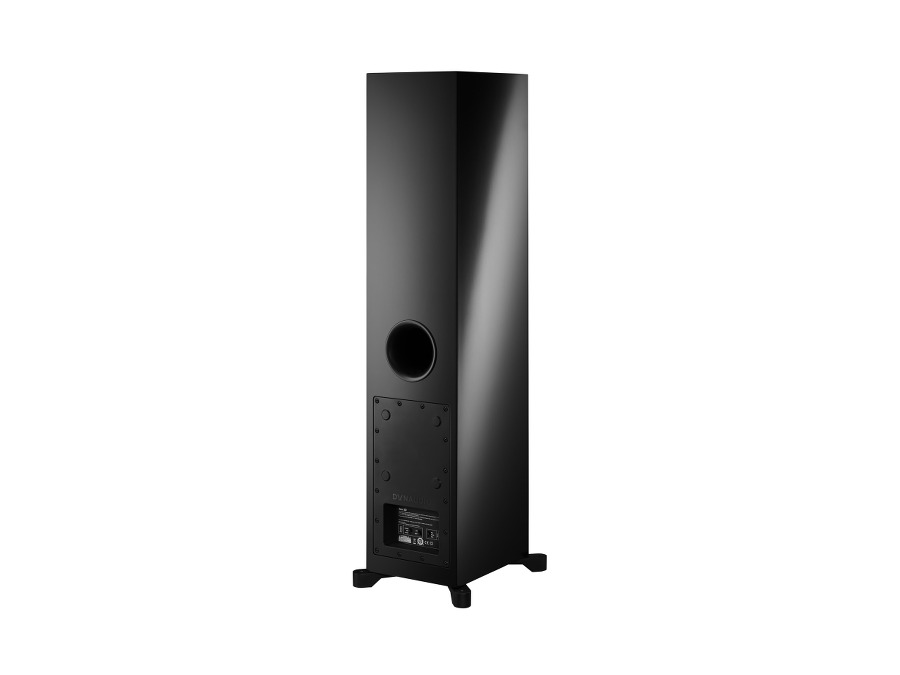 Dynaudio Xeo 30
